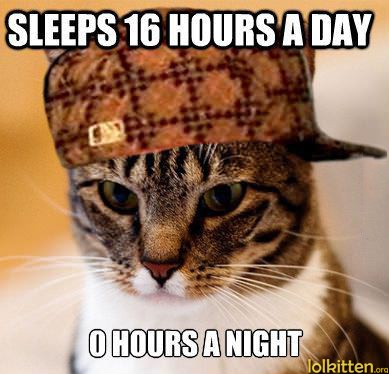 SLEEPS 16 HOURS A DAY - 0 HOURS A NIGHT