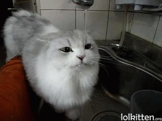 Slurp