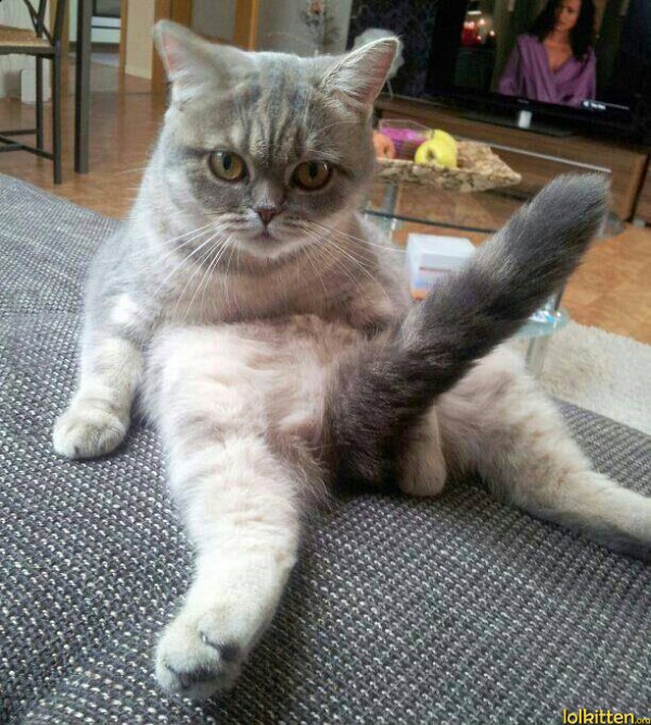 What are you staring at?