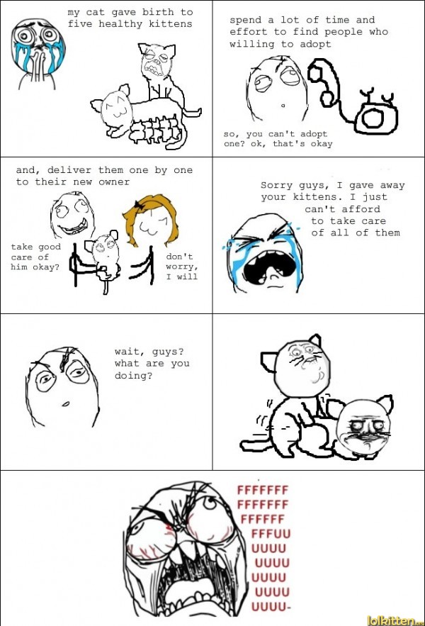 Cats love to make kittens