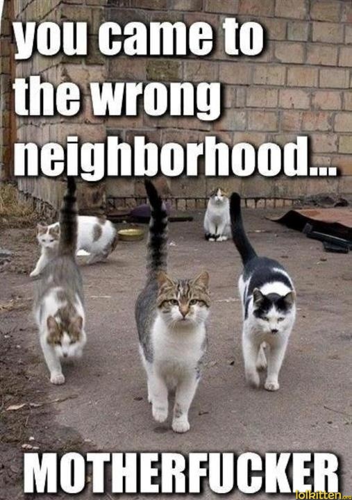 you came to the wrong neighborhood... MOTHERFUCKER