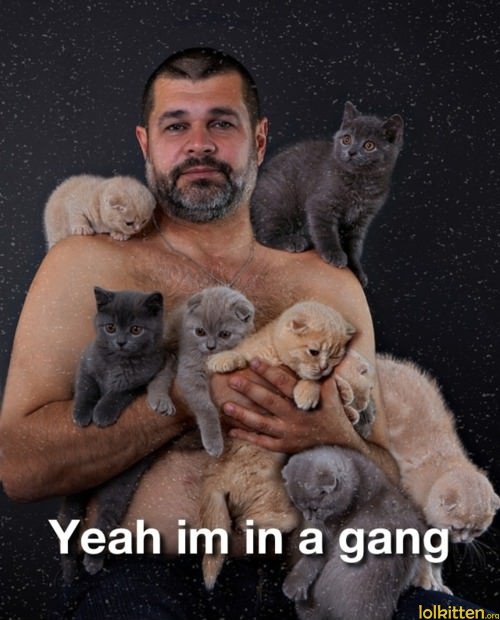 Yeah im in a gang