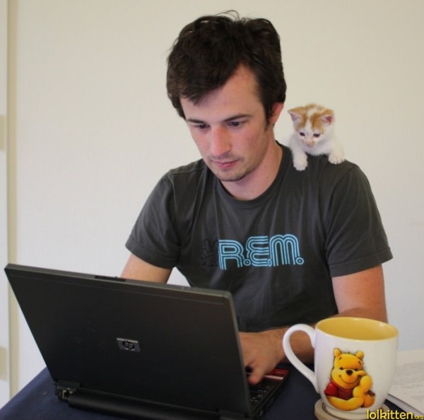 Lolcat-Blogger