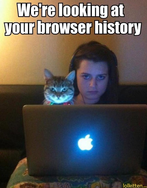We're looking at your browser history