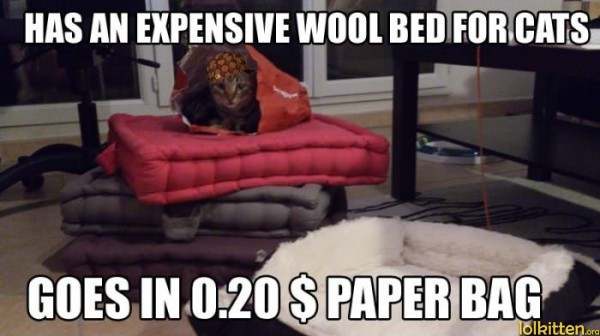 HAS AN EXPENSIVE WOOL BED FOR CATS - GOES IN 0.20 $ PAPER BAG