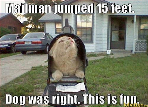 Mailman jumped 15 feet. Dog was right. This is fun.