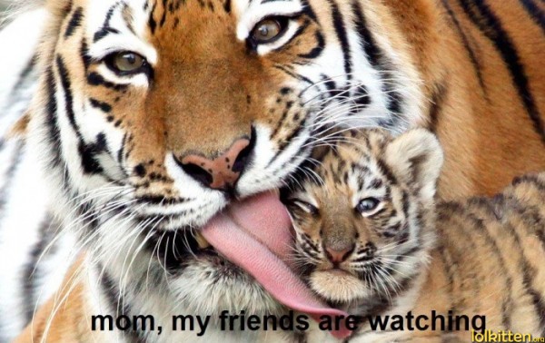 mom, my friends are watching