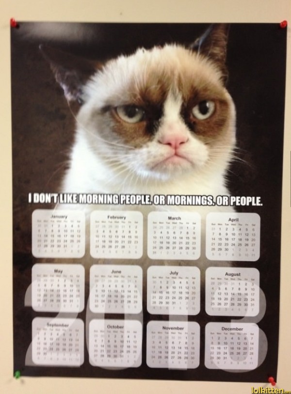 I DON'T LIKE MORNING PEOPLE. OR MORNINGS. OR PEOPLE.