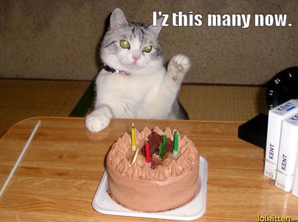 I'z this many now.