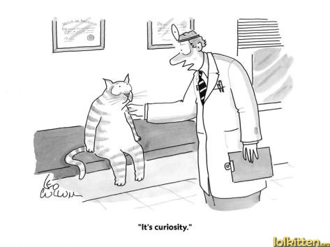 It's curiosity.