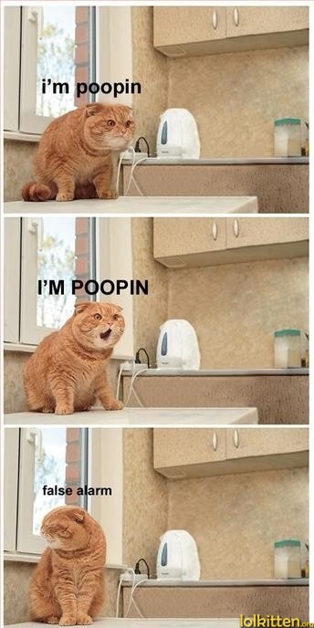 i'm poopin - I'M POOPIN - false alarm