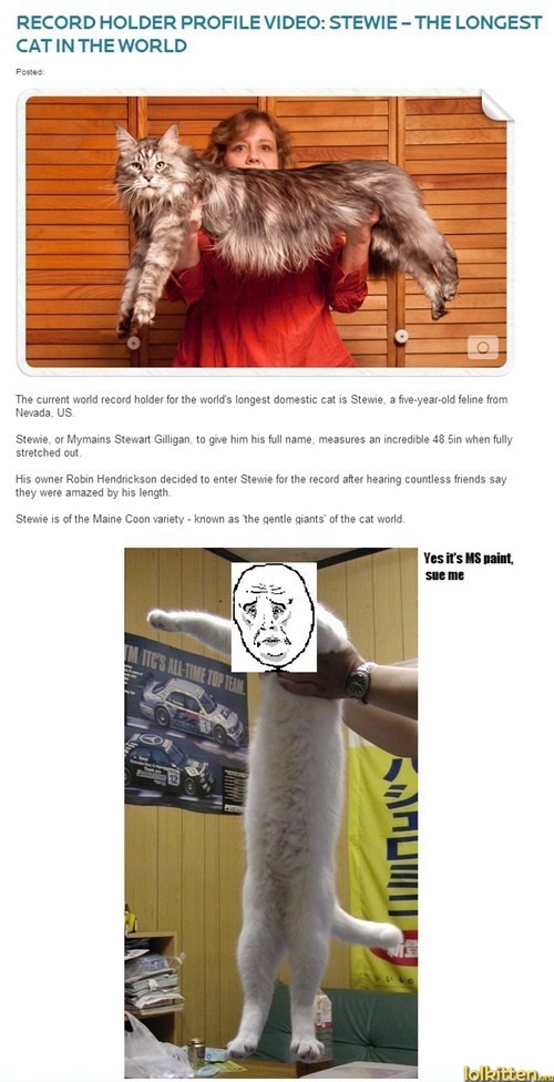 New Longest Cat
