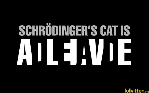 SCHRÖDINGER'S CAT IS ADLEIAVDE