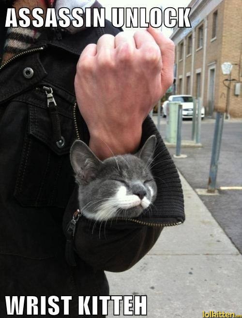ASSASSIN UNLOCK - WRIST KITTEH