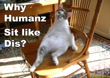 Why Humanz Sit like Dis?
