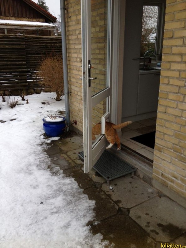 Human doors are too mainstream