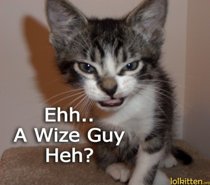 Ehh.. A Wize Guy Heh?