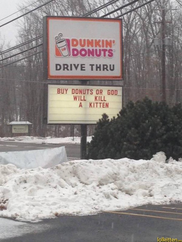 BUY DONUTS OR GOD WILL KILL A KITTEN