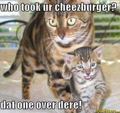 who took ur cheezburger?