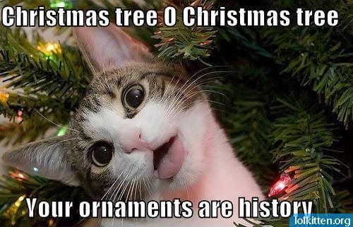 Christmas tree O Christmas tree Your ornaments are history