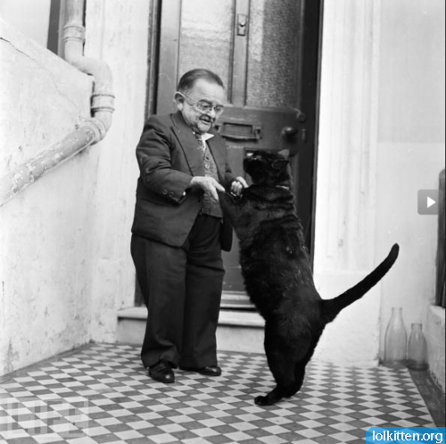 Midget dancing with a cat