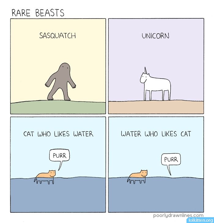 RARE BEASTS