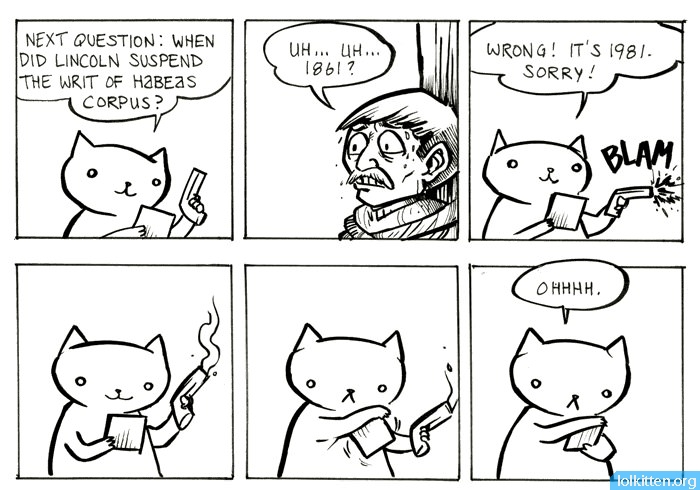 Cat shoots a man because of a wrongly incorrect answer