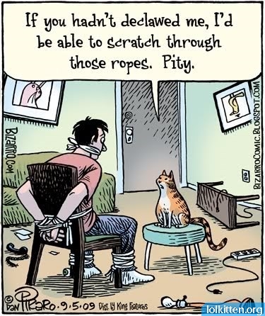 If you hadn't declawed me, I'd be able to scratch through those ropes. Pity.