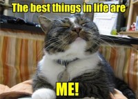 The best things in life are ME!