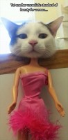 Cat head barbie